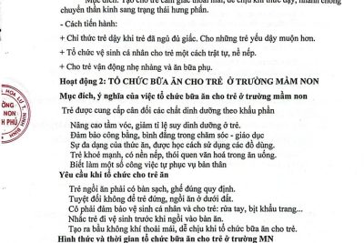 Nghị quyết sinh hoạt chuyên đề tổ chức hoạt động ăn, ngủ và vệ sinh cho trẻ trong cơ sở giáo dục mầm non.